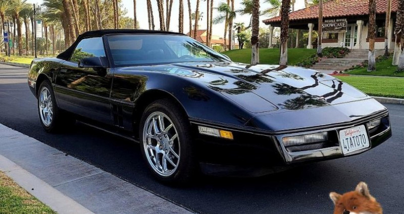 Chevrolet Corvette   occasion � LYON - photo n�6