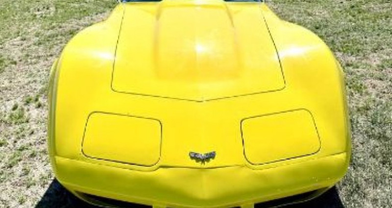 Chevrolet Corvette  1977 - photo n°7 Chevrolet Corvette   occasion à LYON - photo n°7