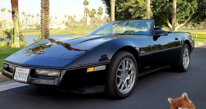 Chevrolet Corvette  1989 Chevrolet Corvette   occasion à LYON