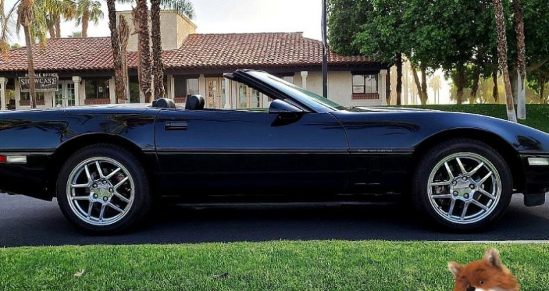 Chevrolet Corvette  1989 - photo n°4 Chevrolet Corvette   occasion à LYON - photo n°4