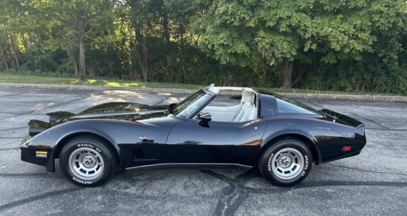 Chevrolet Corvette   occasion à LYON - photo n°1