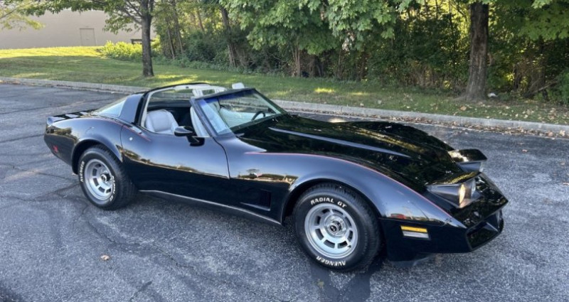 Chevrolet Corvette   occasion à LYON - photo n°3