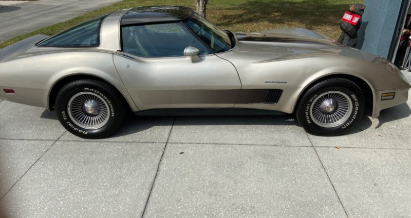Chevrolet Corvette   occasion  LYON - photo n6