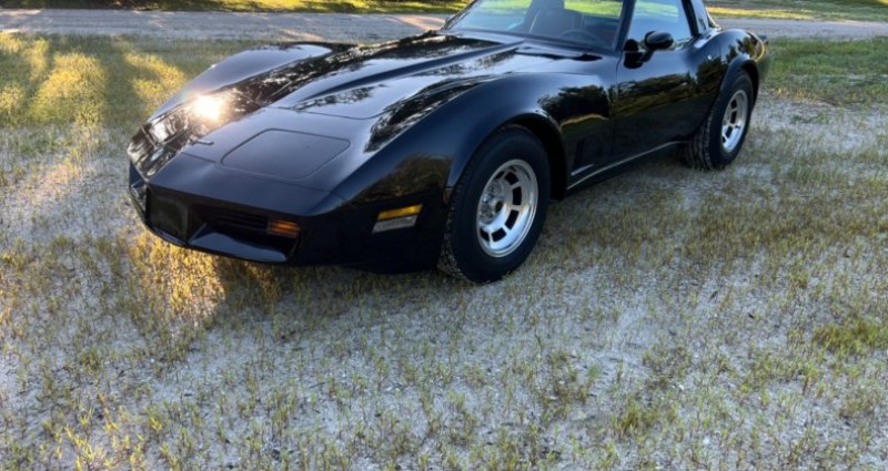 Chevrolet Corvette   occasion  LYON - photo n3