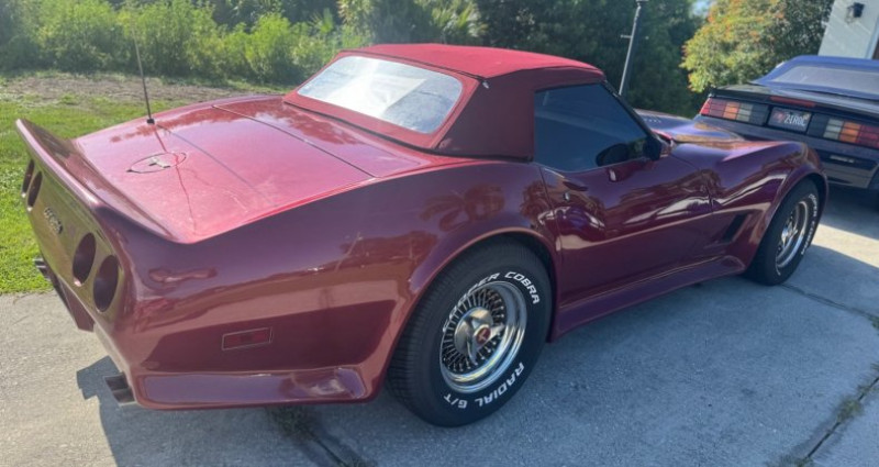 Chevrolet Corvette  1981 - photo n°6 Chevrolet Corvette   occasion à LYON - photo n°6