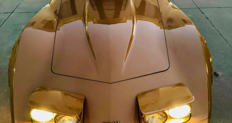 Chevrolet Corvette  1982 - photo n°7 Chevrolet Corvette   occasion à LYON - photo n°7