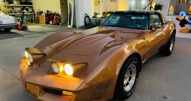 Chevrolet Corvette  1982 - photo n°6 Chevrolet Corvette   occasion à LYON - photo n°6