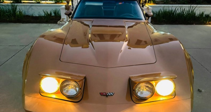 Chevrolet Corvette  1982 - photo n°5 Chevrolet Corvette   occasion à LYON - photo n°5
