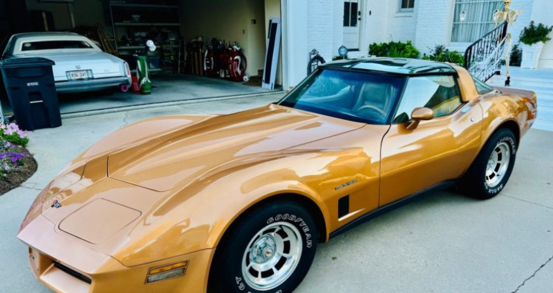 Chevrolet Corvette  1982 Chevrolet Corvette   occasion à LYON