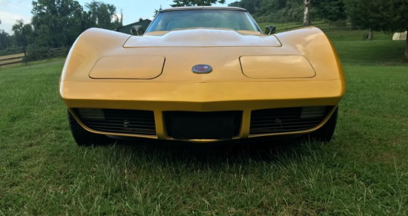 Chevrolet Corvette  1973 - photo n°4 Chevrolet Corvette   occasion à LYON - photo n°4