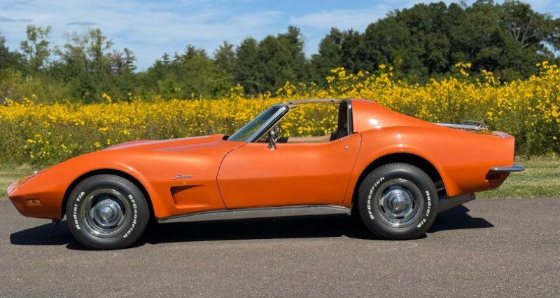 Chevrolet Corvette   occasion  LYON - photo n4