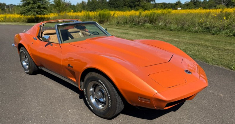 Chevrolet Corvette   occasion  LYON - photo n5