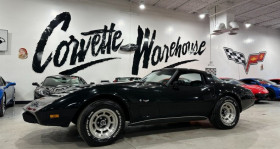 Chevrolet Corvette occasion 1979 mise en vente à LYON par le garage GOOD TIMERS - photo n°1