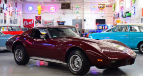Chevrolet Corvette occasion 1976 mise en vente à LYON par le garage GOOD TIMERS - photo n°1