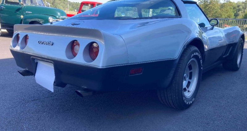 Chevrolet Corvette DE 1982  occasion  SAUVAGNAT SAINTE MARTHE - photo n2