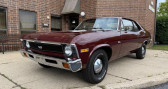 Annonce Chevrolet Nova occasion Essence   LYON