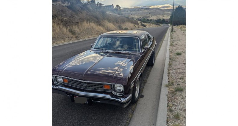 Chevrolet Nova  1974 - photo n°2 Chevrolet Nova   occasion à LYON - photo n°2
