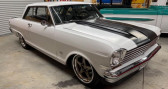 Annonce Chevrolet Nova occasion Essence Pro built 427LS7 built, tremec 5 speed, chas  LYON
