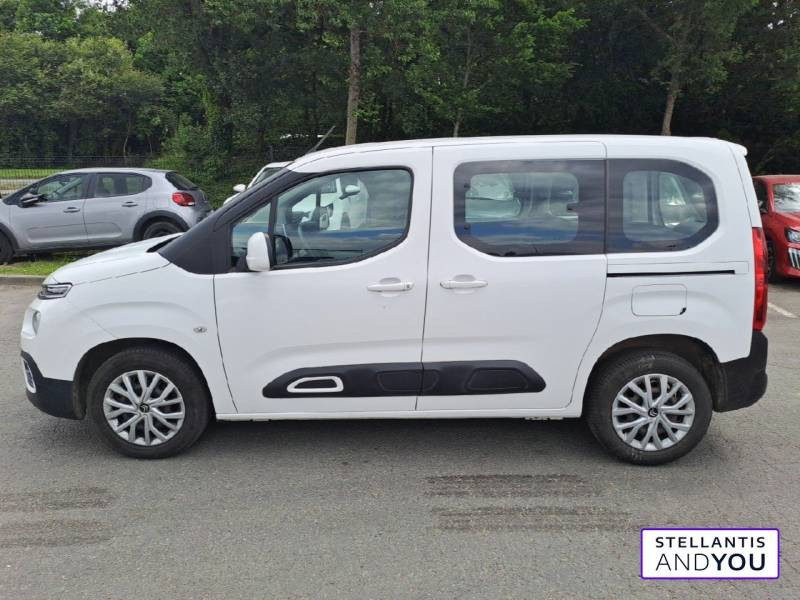 Citroen Berlingo Taille M BlueHDi 100 S&S BVM6 Feel  occasion  CESSON SEVIGNE - photo n5