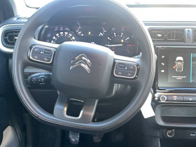 Citroen C3 C3 BlueHDi 100 BVM6 You 5p  occasion  Lescure-d'Albigeois - photo n10