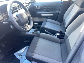 Citroen C3 C3 BlueHDi 100 BVM6 You 5p  occasion  Lescure-d'Albigeois - photo n13