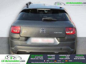 Citroen C4 Cactus BlueHDi 100 BVM  occasion � Beaupuy - photo n�6