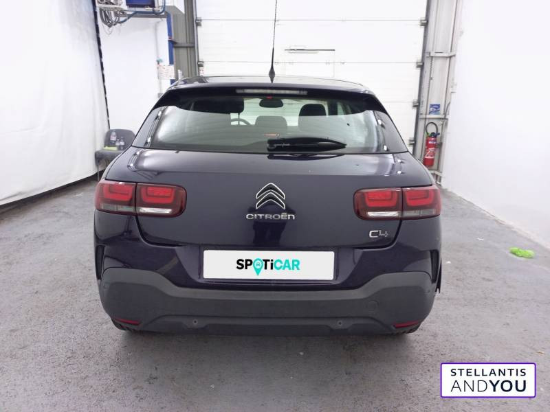 Citroen C4 Cactus PureTech 110 S&S BVM Feel  occasion  RILLIEUX LA PAPE - photo n4