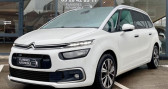 Citroen C4 Picasso 5 Places Grand SpaceTourer PureTech 130ch S&S Shine  � Nieppes 59