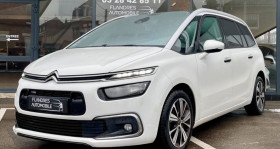 Citroen C4 Picasso 5 Places , garage FLANDRES AUTOMOBILE NIEPPES � Nieppes