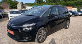 Citroen C4 Picasso 5 Places occasion 2014 mise en vente à Darnetal par le garage GARAGE DE L'TOILE - photo n°1