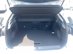 Citroen C4 e-C4 156 ch autonomie tendue Automatique Max 5p  occasion  Lescure-d'Albigeois - photo n15