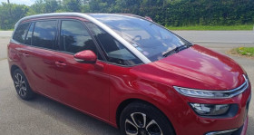 Citroen C4 occasion 2019 mise en vente à Seilhac par le garage UNIVERS OCCASION - photo n°1