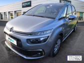 Annonce Citroen C4 occasion Diesel Spacetourer BlueHDi 130 S&S EAT8 Feel  VELIZY