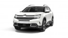Citroen C5 Aircross occasion Blanc année 2021 boite Manuelle Annonce Citroen C5 Aircross occasion Diesel 1.5 bluehdi 130cv eat8 feel surequipe à Ganges