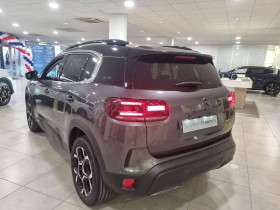 Citroen C5 Aircross C5 Aircross BlueHDi 130 EAT8 Max 5p  occasion  Lescure-d'Albigeois - photo n6