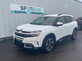 Annonce Citroen C5 Aircross occasion Diesel C5 Aircross BlueHDi 130 S&S BVM6 Feel 5p  Lescure-d'Albigeois