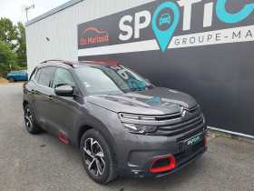 Citroen C5 Aircross C5 Aircross BlueHDi 130 S&S EAT8 Feel 5p  occasion  Lescure-d'Albigeois - photo n6