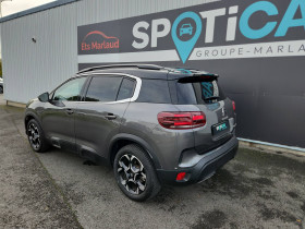 Citroen C5 Aircross C5 Aircross BlueHDi 130 S&S EAT8 Shine 5p  occasion  Lescure-d'Albigeois - photo n6