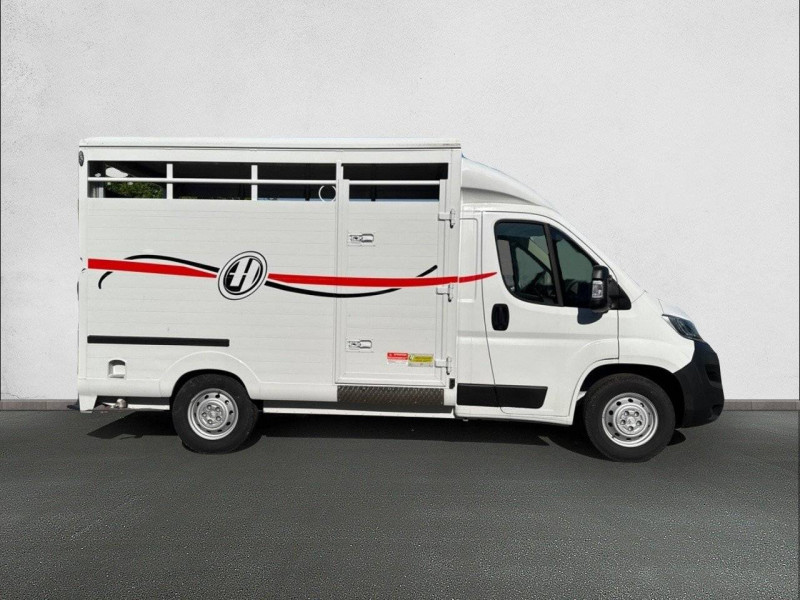 Citroen Jumper PLANCHER CABINE JUMPER BETAILLERE MAXI 35 L2 BLUEHDi 140 S&S  occasion  FONTENAY LE COMTE - photo n4