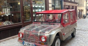 Citroen Mehari occasion 1980 mise en vente &agrave; Versailles par le garage MYTHICS MOTORS - photo n&deg;1