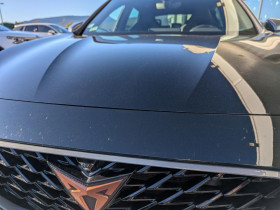 Cupra Formentor 1.4 e-Hybrid - 204 - BV DSG 6  Business Edition PHASE 1  occasion � Ganges - photo n�6