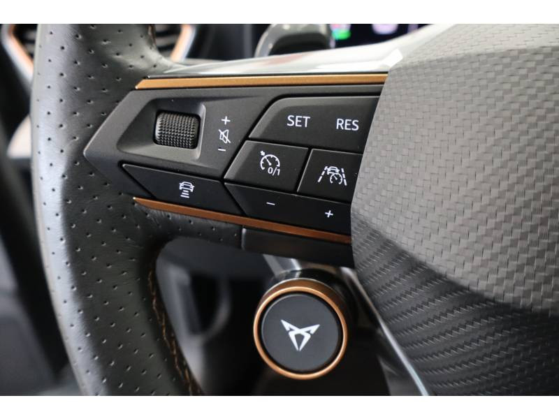 Cupra Formentor 1.4 e-HYBRID 245 ch DSG6 VZ Tribe Edition  occasion  LONS - photo n12