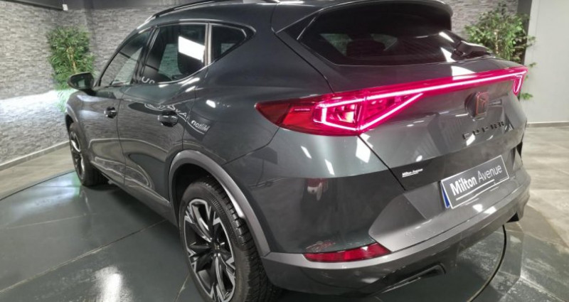 Cupra Formentor 2.0 16V TDI - 150 - BV DSG 7 - 4Drive  occasion � GUERET - photo n�3