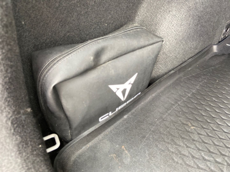 Cupra Formentor 2.0 TDI 150 4DRIVE BUSINESS EDITION DSG7 GPS Camra 1Main  occasion  Lescure-d'Albigeois - photo n7