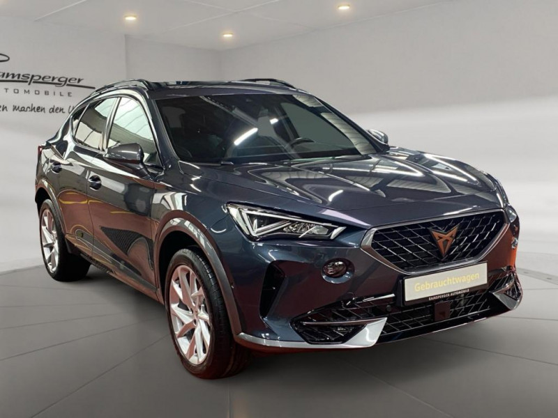 Cupra Formentor 2.0 TDI 150 ch BVA 4Drive  occasion � L'Union - photo n�6