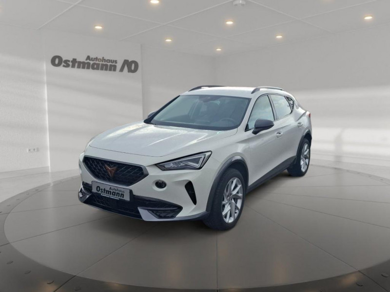 Cupra Formentor 2.0 TDI 150 ch BVM  occasion � L'Union