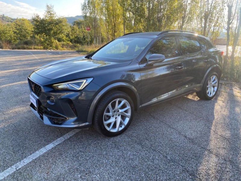 Cupra Formentor 2.0 TDI  occasion  L'Union - photo n2