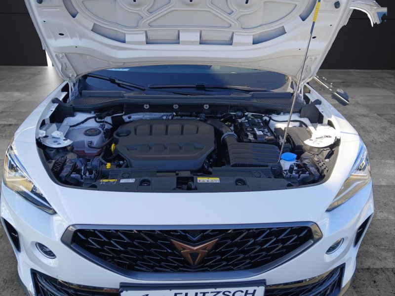 Cupra Formentor 2.0 TSI 190 ch BVA 4Drive  occasion  Beaupuy - photo n7