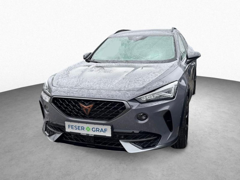 Cupra Formentor 2.0 TSI 190 ch BVA 4Drive  occasion � L'Union