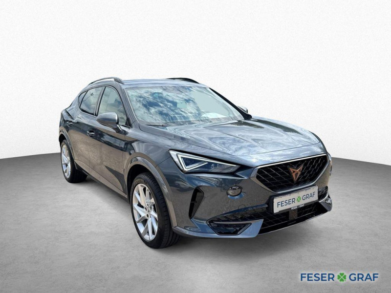 Cupra Formentor 2.0 TSI 190 ch BVA 4Drive  occasion  L'Union - photo n3